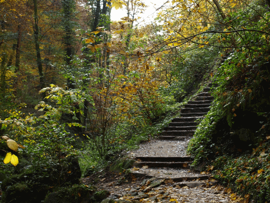 Müllertal